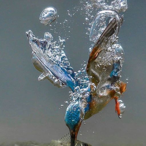 Water Runs Deep