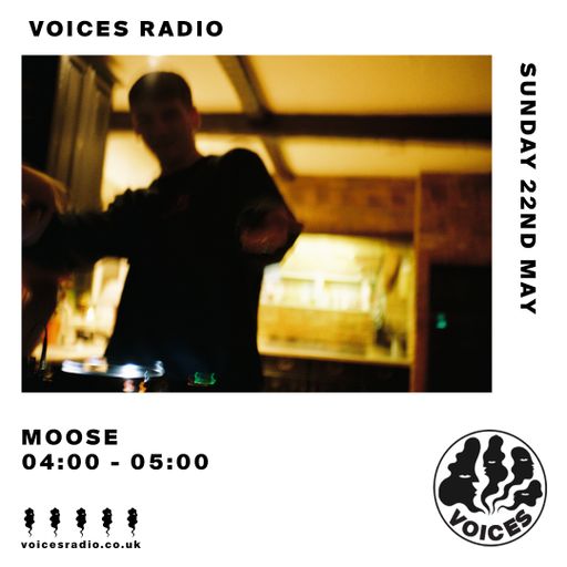 Moose - 22/05/22