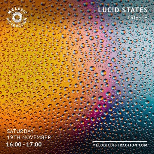 Lucid States with Trieste (November '22)
