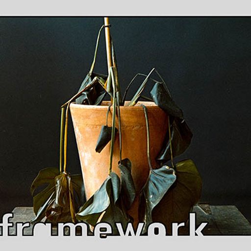framework #956 - 21 December 2025