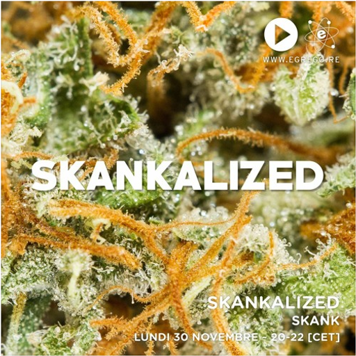 Skankalized 07