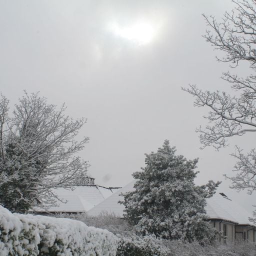 Lush Burns, Winter Guitar, Festival Drums, & Andy's Star  - Musics of the World 26/01/20 WXUT (Mix)