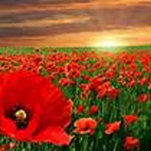 Marshmallow Skies (PsyAmbient)