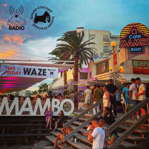 Café Mambo Radio Ibiza - House Trained Show Episode 165 (11/07/25)