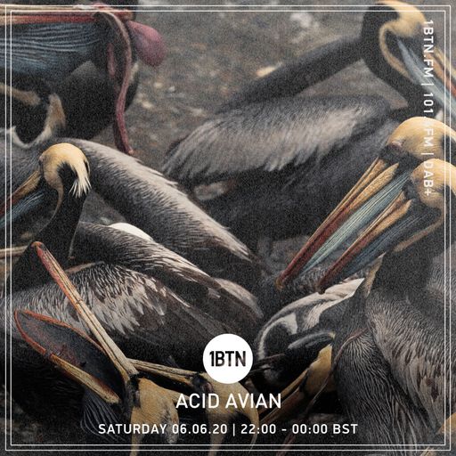 Acid Avian - 06.06.2020