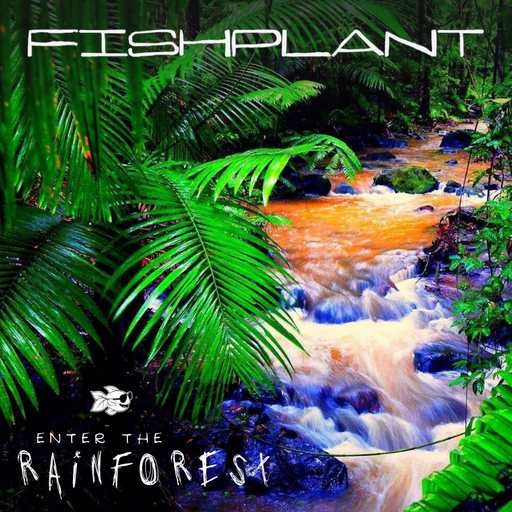 Enter The Rainforest