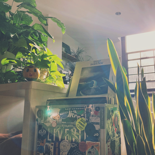 Activity Chain -11/09/22