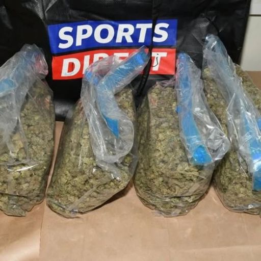 Tynetees w. Frederico Gonzales - February 2026