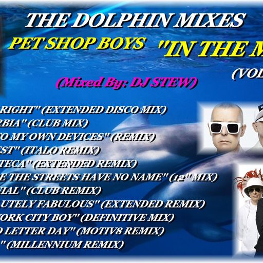 THE DOLPHIN MIXES - PET SHOP BOYS - ''IN THE MIX'' (VOLUME 2)