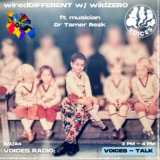 wiredDIFFERENT w/ wildZERO - 08/01/24 - Voices Radio