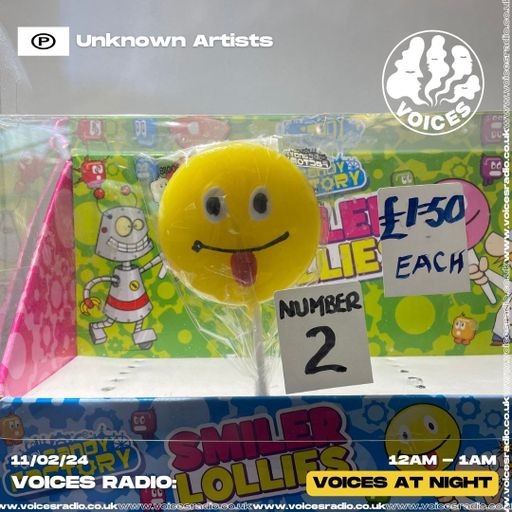 Unknown Artists - 11/02/24 - Voices Radio