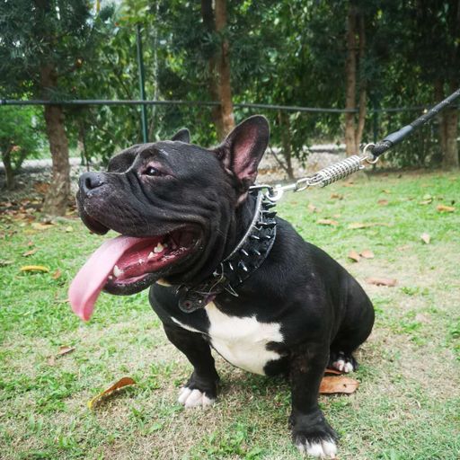 『中國風 FT 慢搖舞曲』【童珺_-_這就是愛嗎 X 3401告白_-_請先說你好 X 周杰倫_-_蒲公英的約定】RMX 2020 PRIVATE MIXTAPE JUST FOR ERIC TEOH