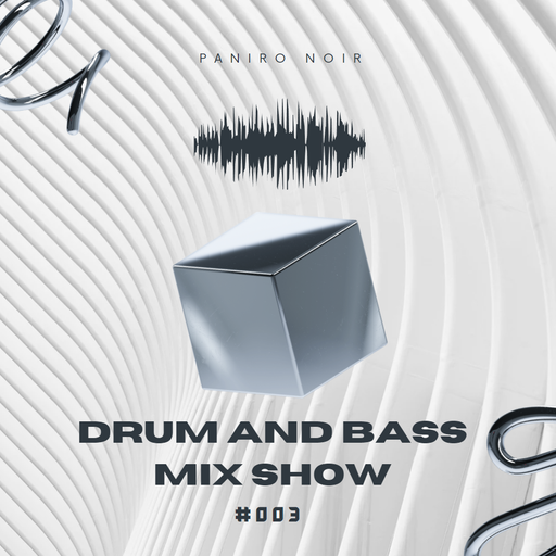 Paniro Noir - Drum and Bass Mix Show #003