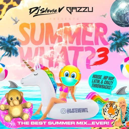 Dj Stevie V's SUMMER ...WHAT? Part 3 Feat. Dj Gazzu