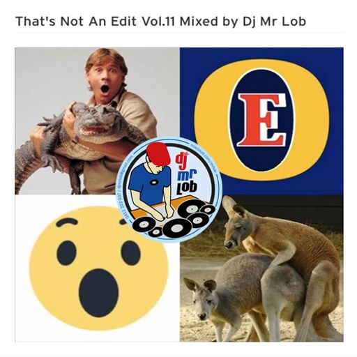 That's Not An Edit Vol.11 Mixed by Dj Mr Lob