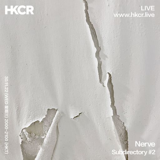 Nerve: Subdirectory #2 - 30/11/2022