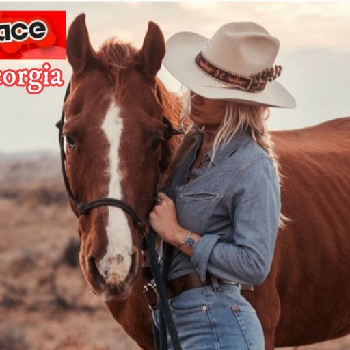 DEAR GEORGIA INTERFACE COUNTRY MUSIC FT JON INTERFACE