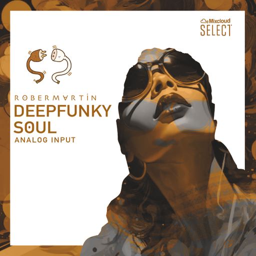 DEEPFUNKYSOUL • Analog Input