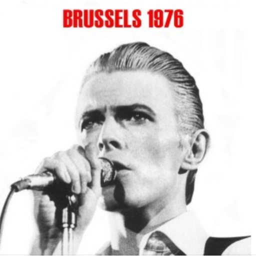 Bowie at the Forest National in Brussels, Belgium, on 11 May 1976, The Isolar Tour