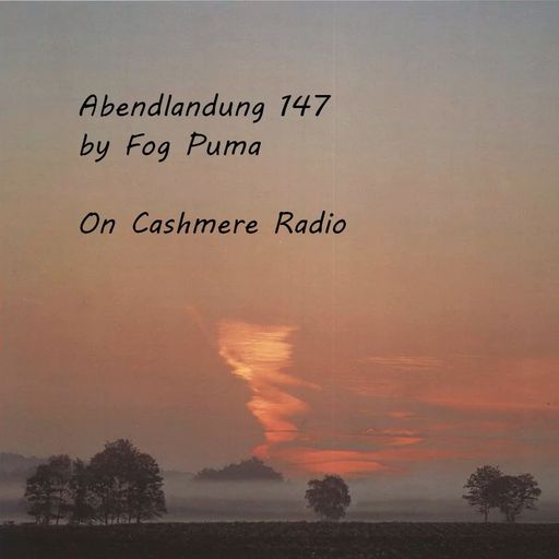Abendlandung # 147 Bunte Mischung 19.09.2022