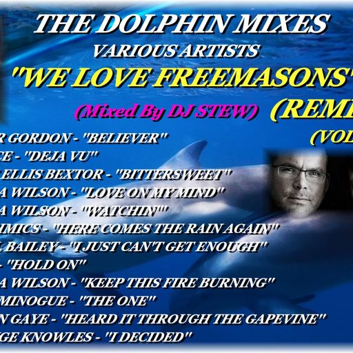THE DOLPHIN MIXES - VARIOUS ARTISTS - ''WE LOVE 'FREEMASONS' REMIXES'' (VOLUME 2)