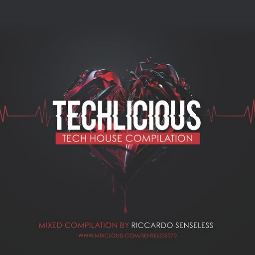 Riccardo SenseLess Presents Techlicious 2018