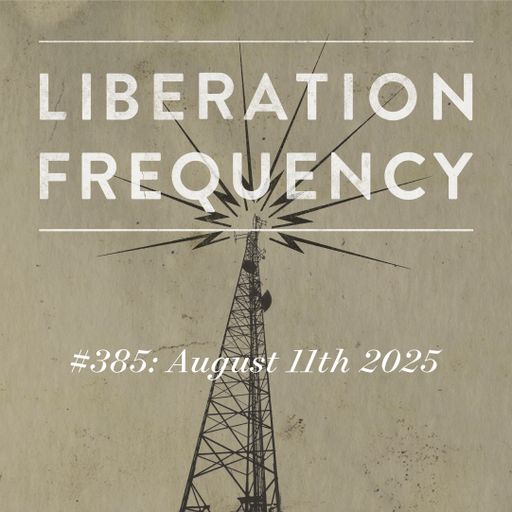 Liberation Frequency #385