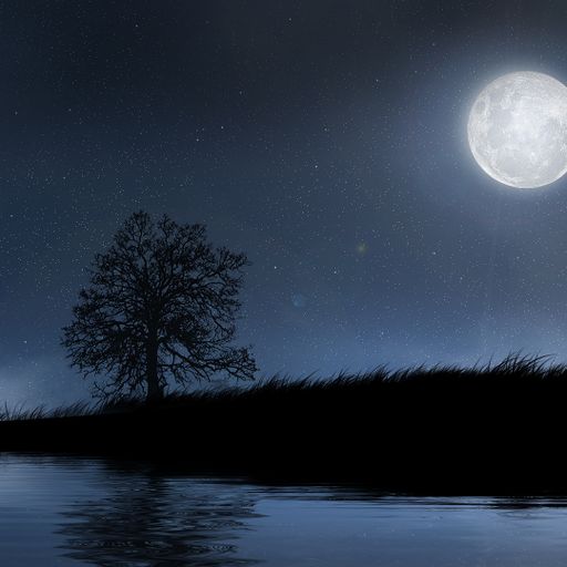 Nocturne (ExtendedJazzFusion)