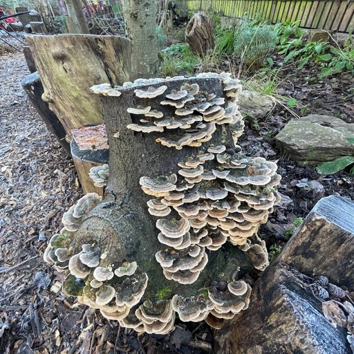 Ken Rico - February 2023