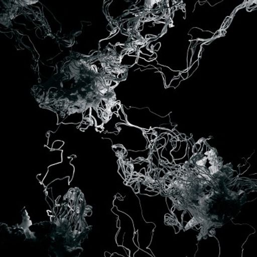Cashmere Specials A Garden of Forking Paths – Finale: Felicity Mangan 27.03.2022