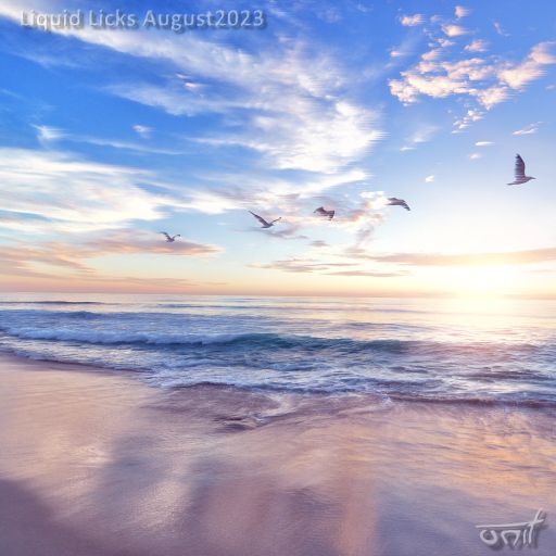 Liquid Licks  - August 2023