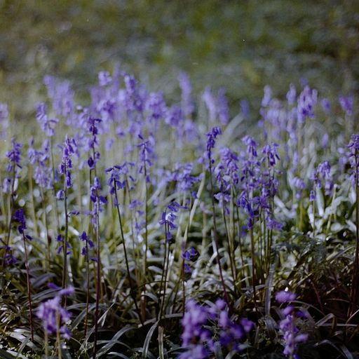 Open Hand Real Flames - Juke, Footwork & 160 from Japan - 11th March 2026