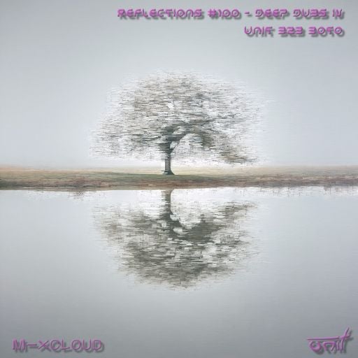 Reflections #100 (cellar edition) - Deep Dubs IV