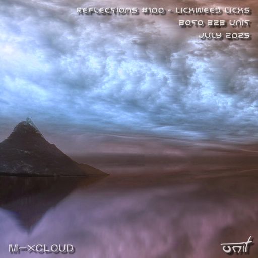 Reflections #100 - boto b2b unit - Lickweed Licks July 2025
