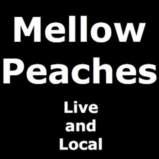 Live & Local: Mellow Peaches at Ort Cafe (13/12/2015)