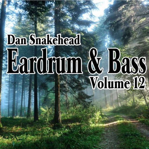 Dan Snakehead - Eardrum & Bass 12