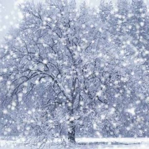 Chilly Winter Mix
