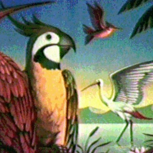 Whiplash presents: OrnithologicalStudies // world rhythm. - January 2023