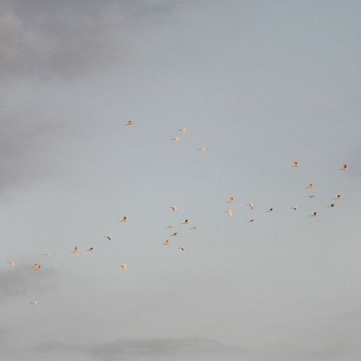 let's be happy with this w/ James Graham - 26th April 2026