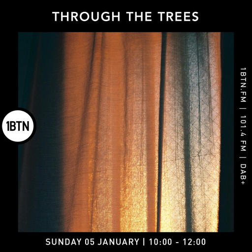Through The Trees - 05.01.25