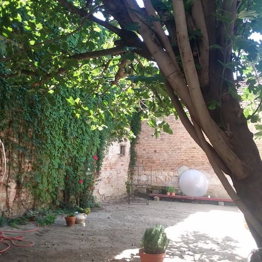 Gistro Special: Sunny Tuesday