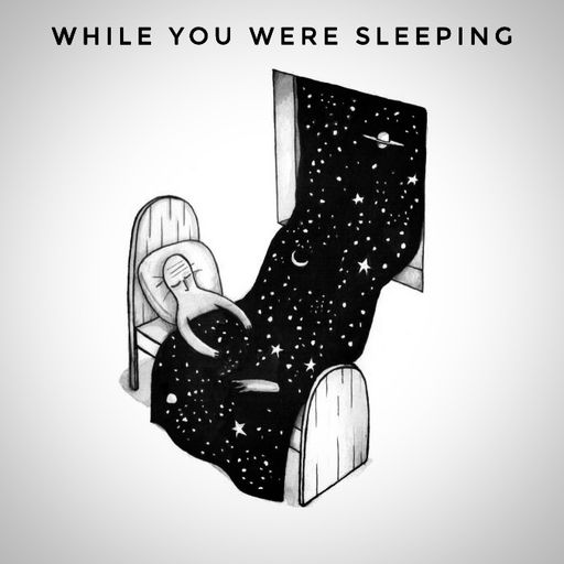 While you were sleeping - A Carmont & Fitz collaboration
