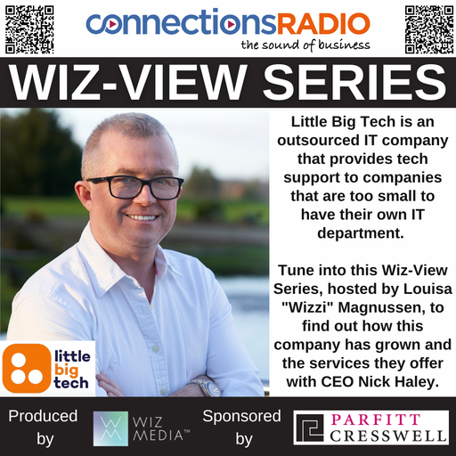 Wiz-View Series: Little Big Tech