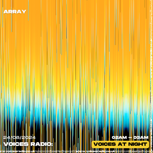 Array - 24/08/24 - [Voices Radio]
