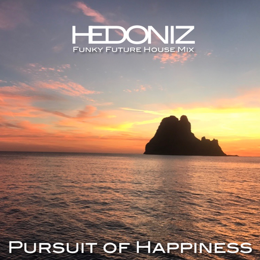 Pursuit of Happiness