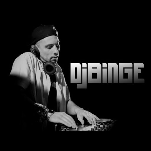 Dj Binge - Carpet Burnt Tailfeathers - Funk Mix