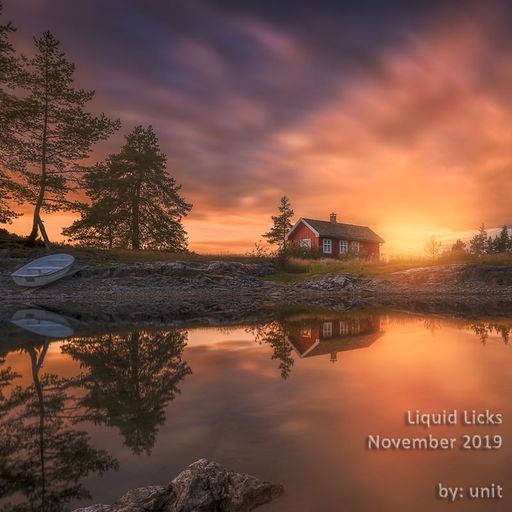 Liquid Licks November 2019