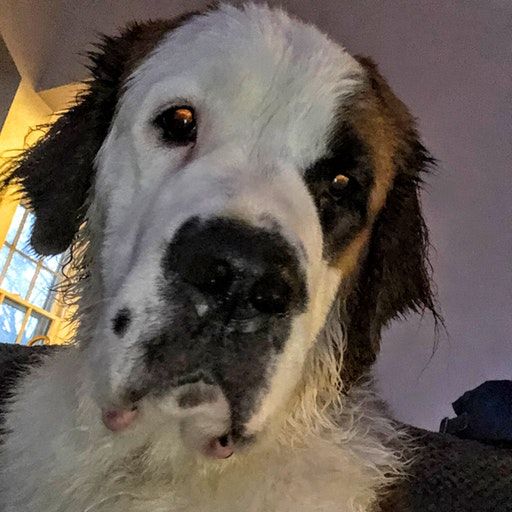 DM Nation with Black Noi$e and SKYWLKR – Unleashed