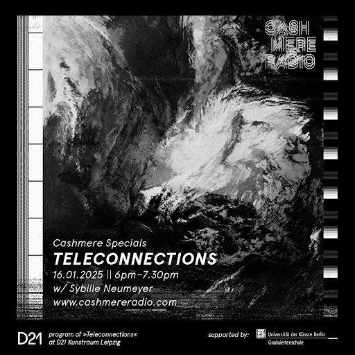 Cashmere Specials - Teleconnections 31.01.2025
