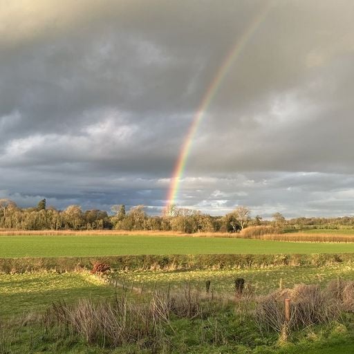 The Slip - 22nd February 2026